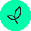 Seedcamp